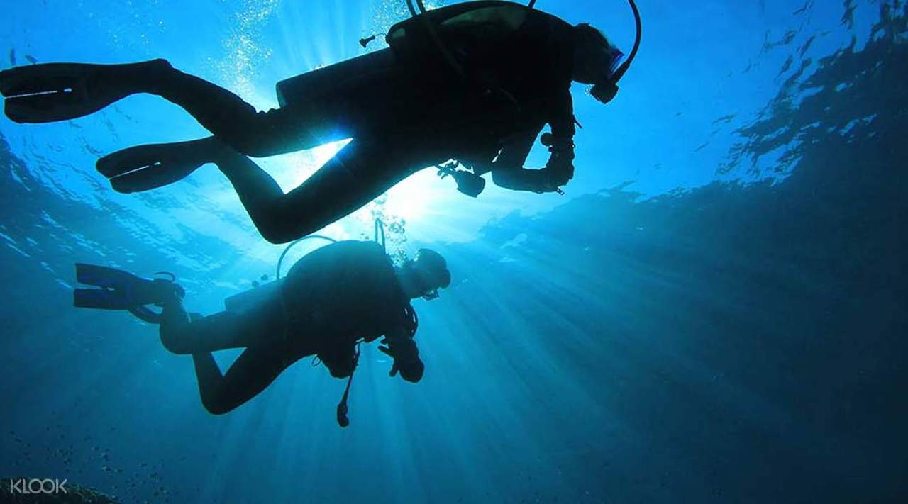 렘봉안산호초크루즈투어 (2).jpg