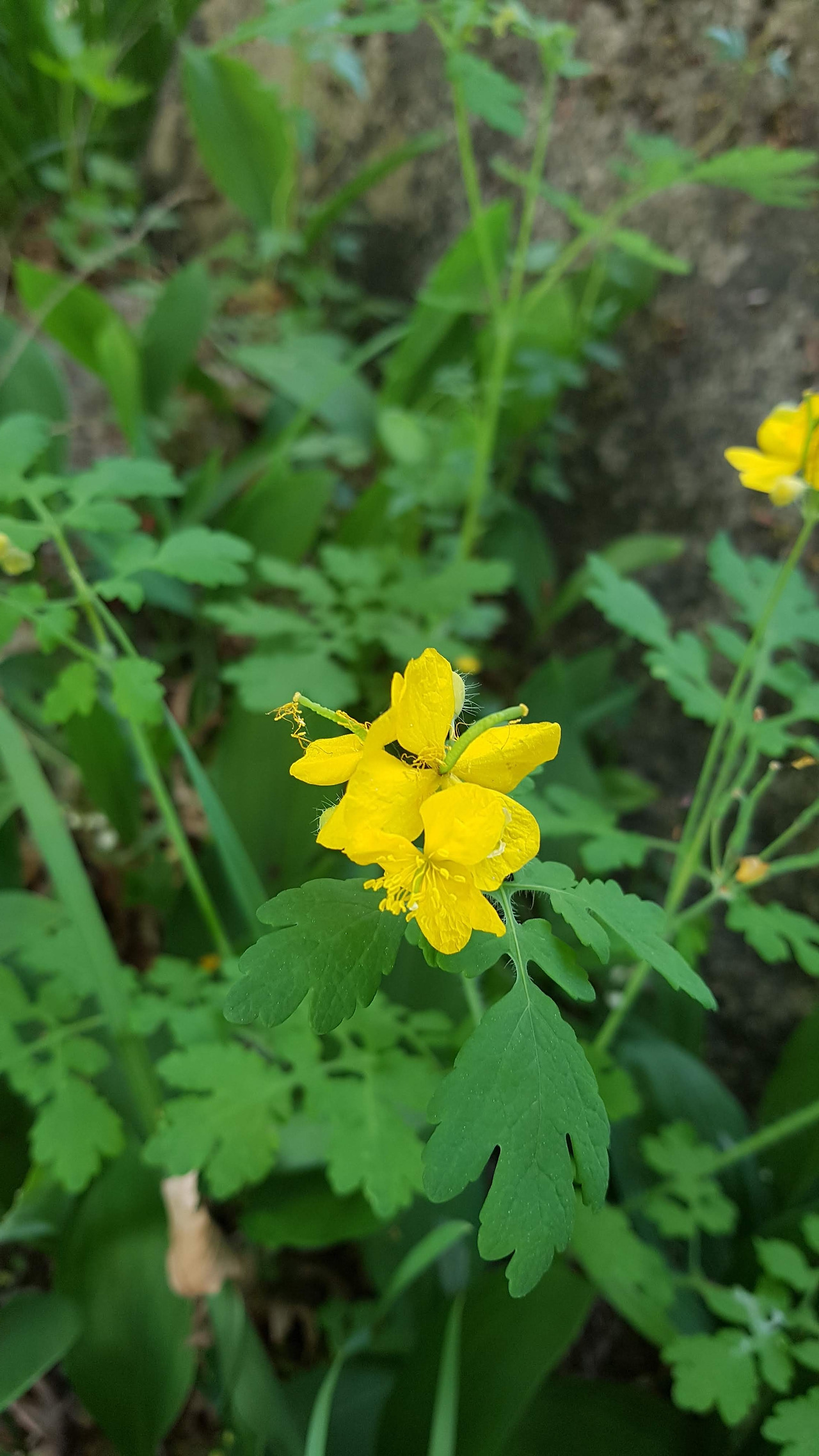 20190511_092209 (1).jpg