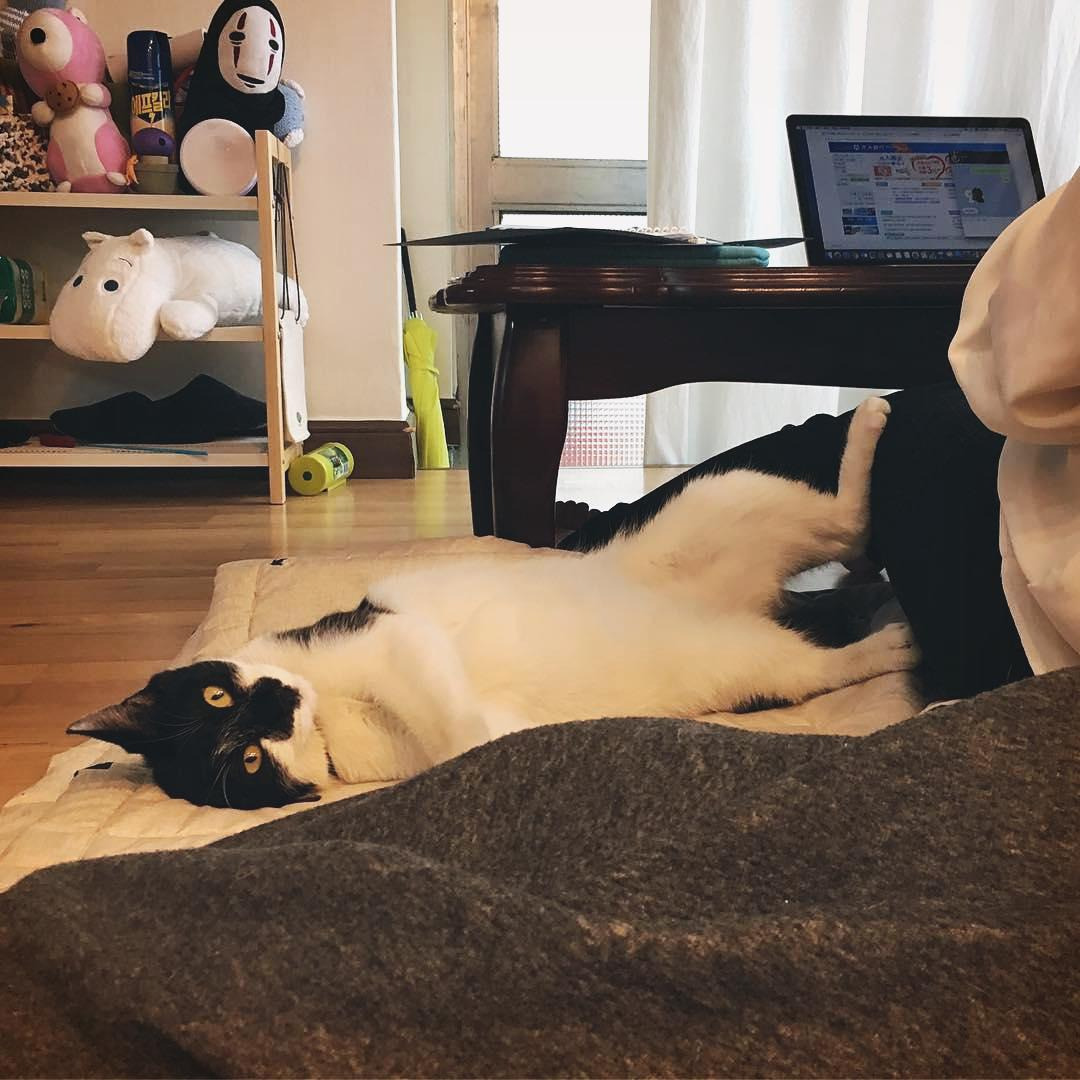 앙꼬 비앤비.jpg