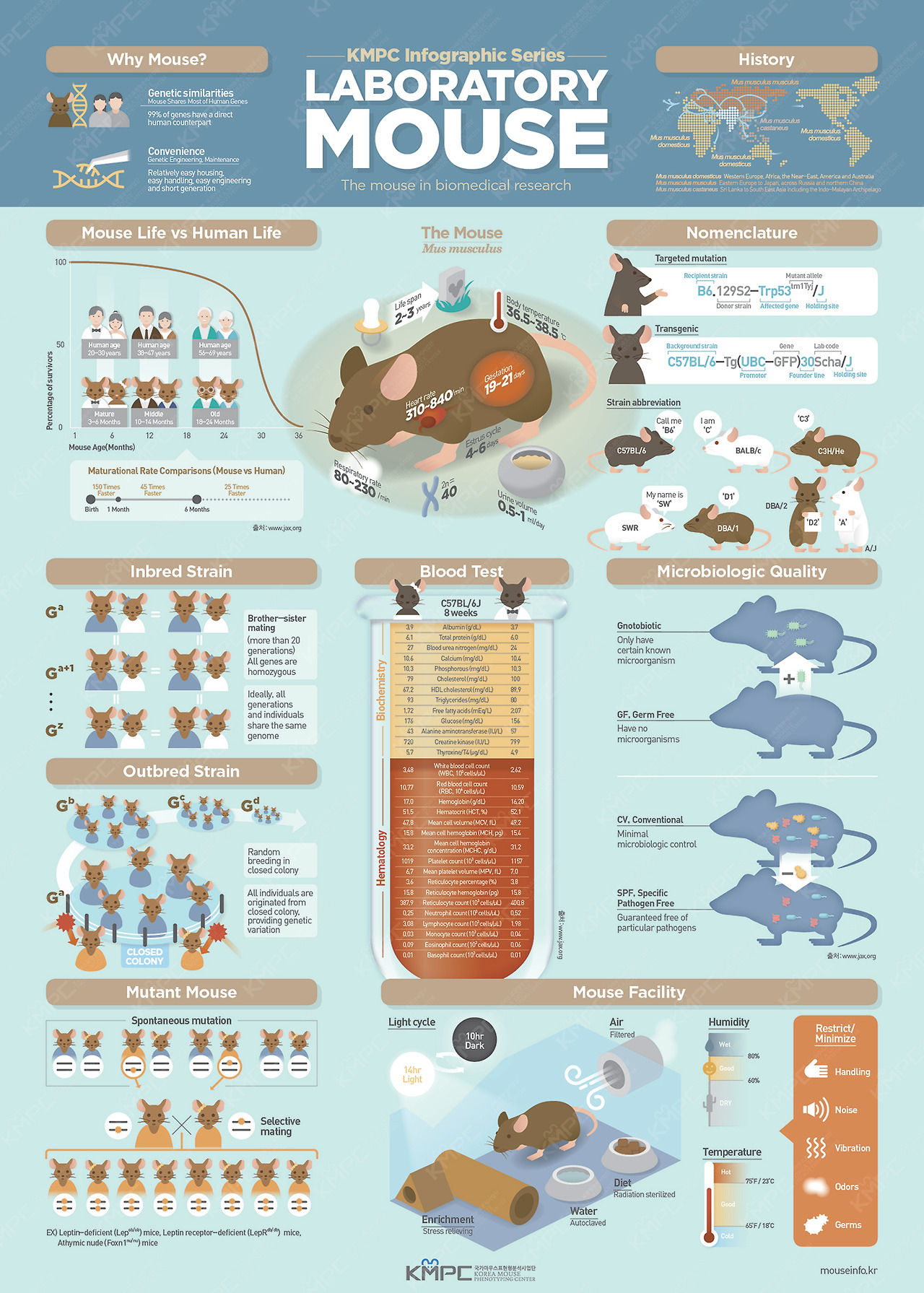 KMPC_infographic_01_0327_watermarks_72.jpg