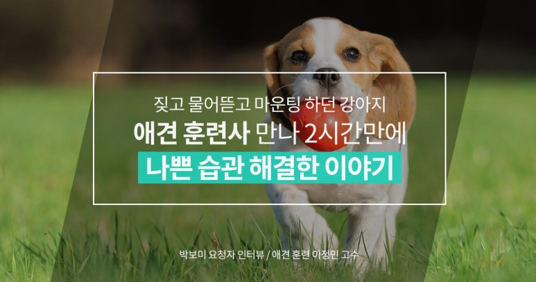 숨고_숨은고수_고수를말하다_애견훈련_이정민_고수_190503_.jpg