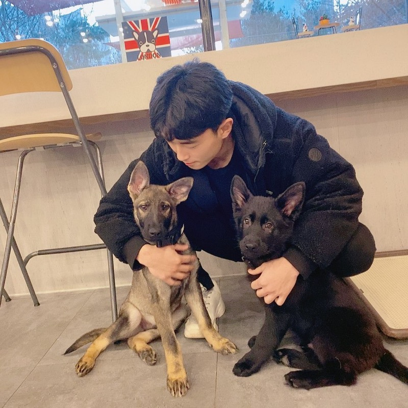 숨고 후기_애견 훈련2.jpg