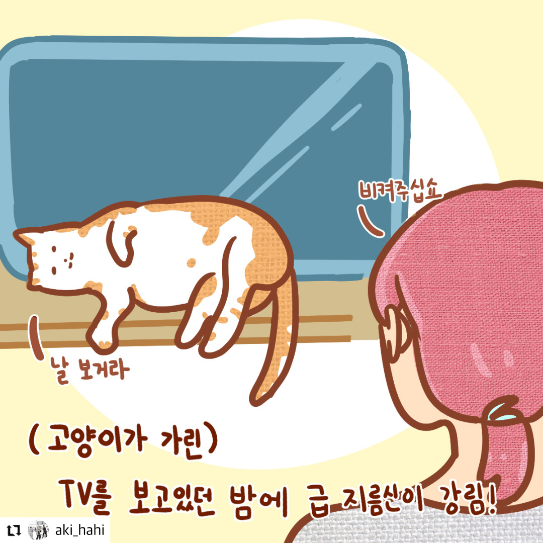 숨고후기_웹툰1.jpg