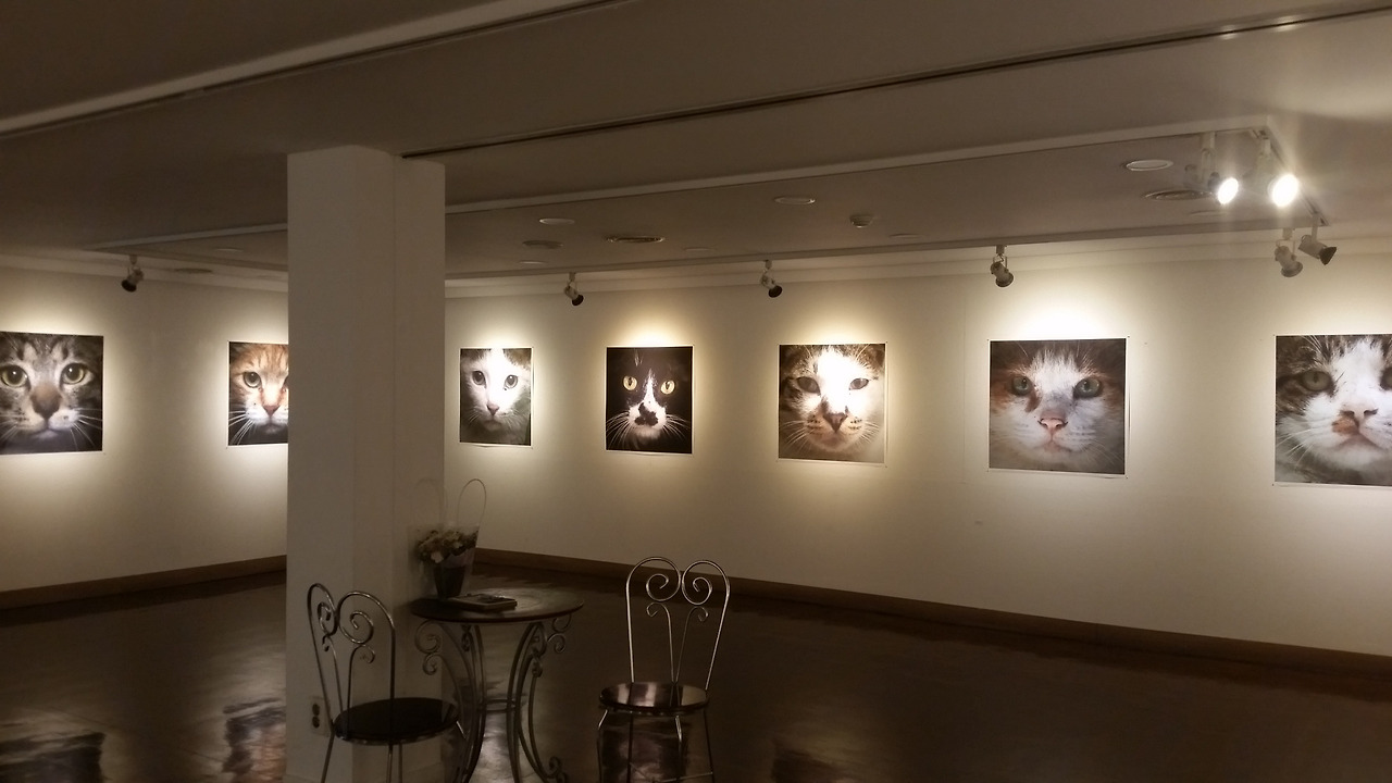 1) 너는 나다 첫 전시 사진.jpg