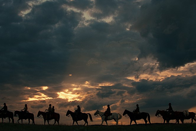 movie_image (11).jpg