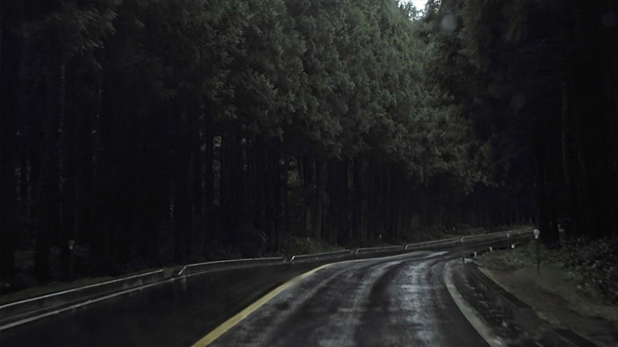 작년에 봤던 새3.jpg