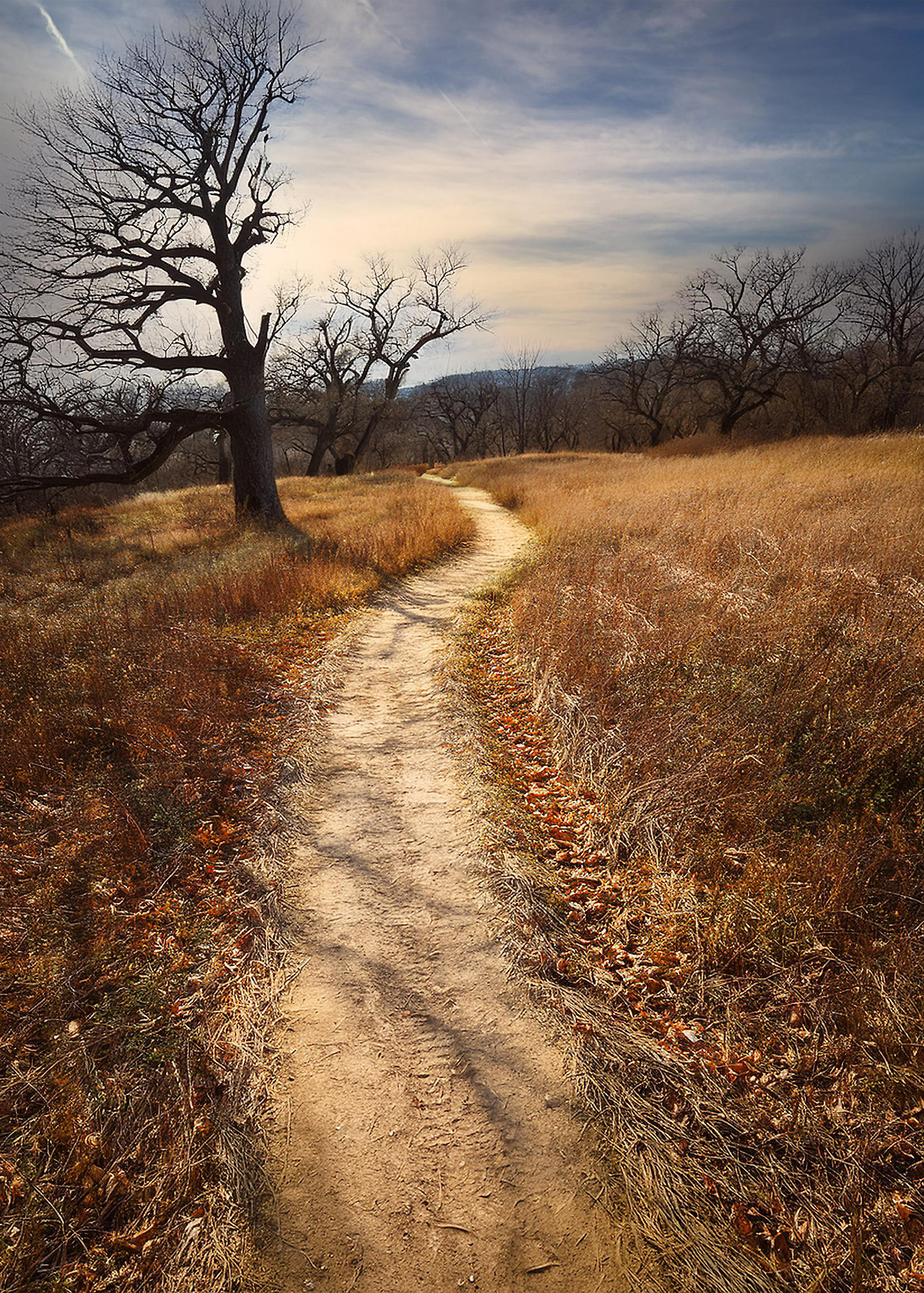 늦가을 쓸쓸한 오솔길.jpg