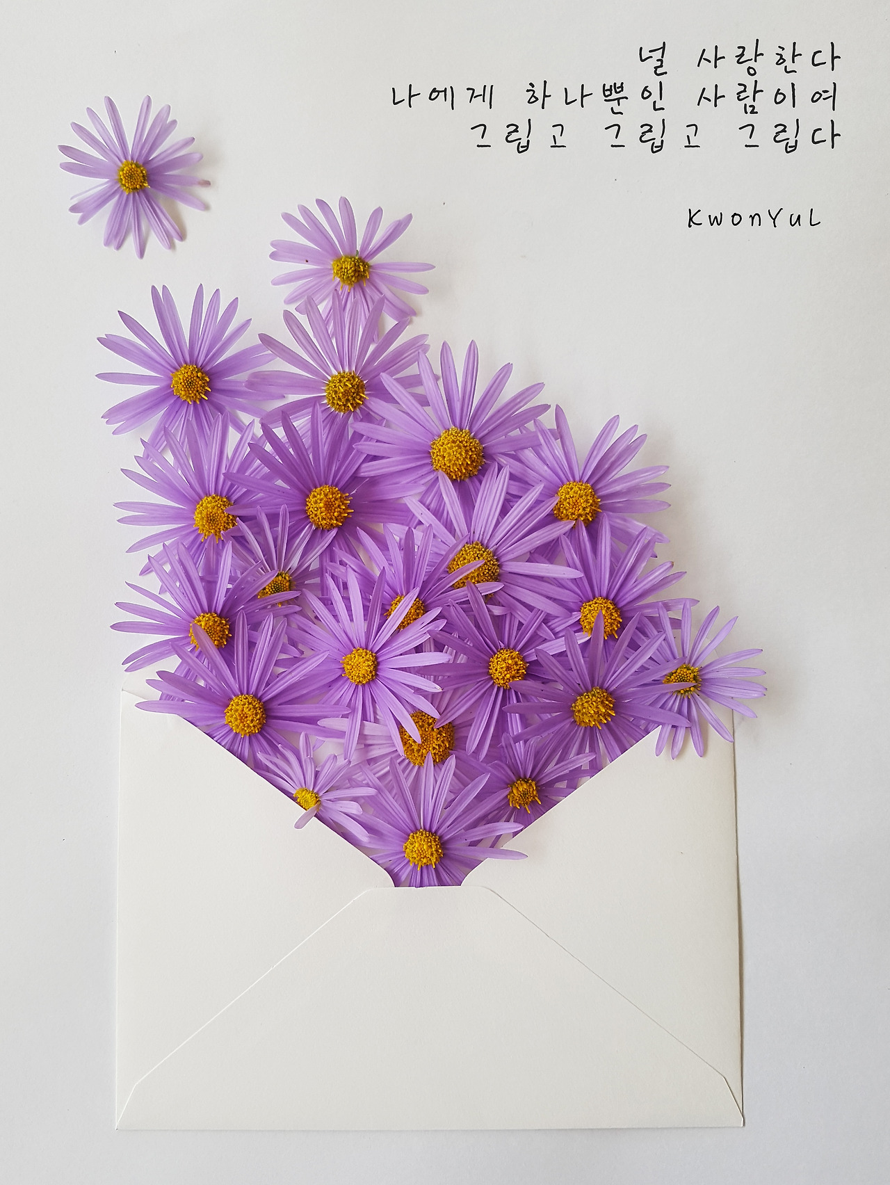 꽃편지.jpg