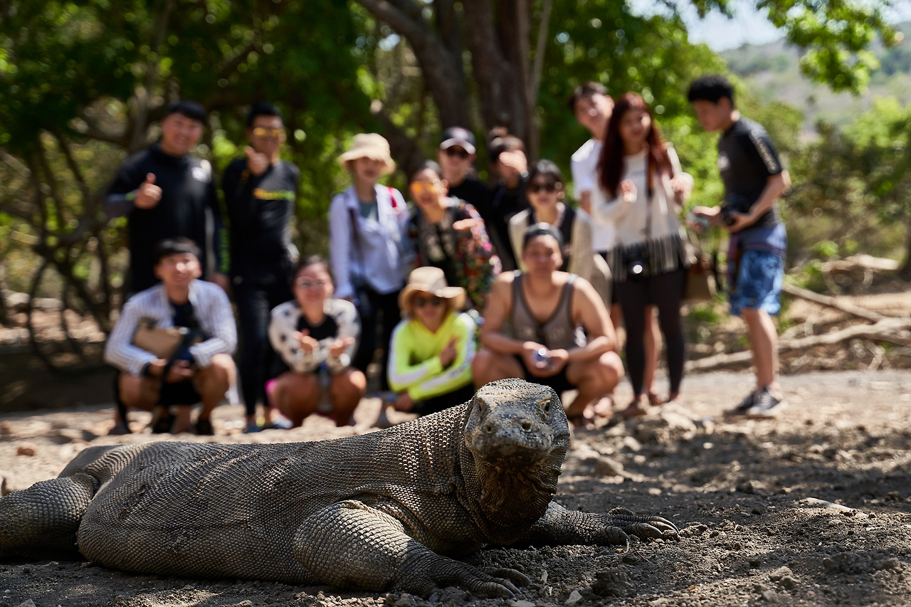 코모도섬 day4(코모도드래곤)_17.jpg
