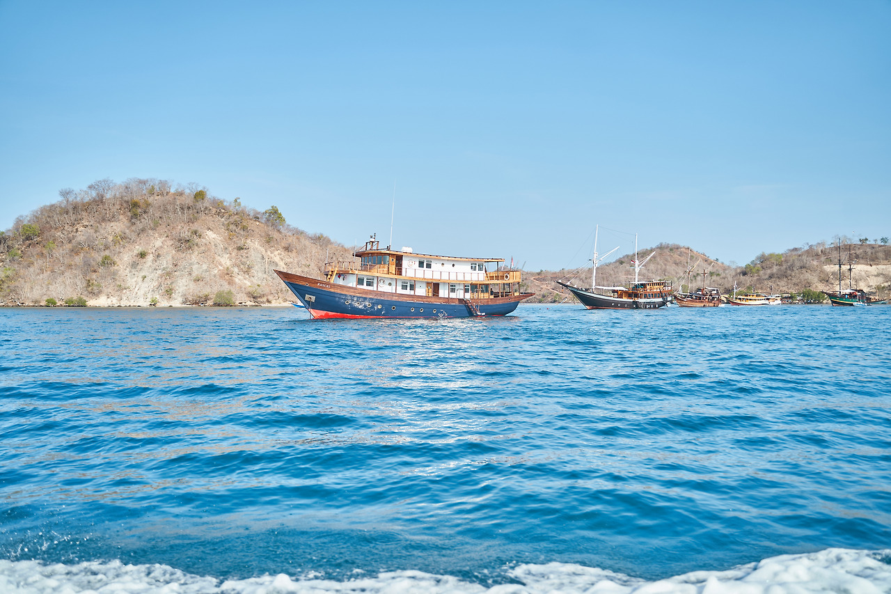 코모도섬 day4(코모도드래곤)_1.jpg