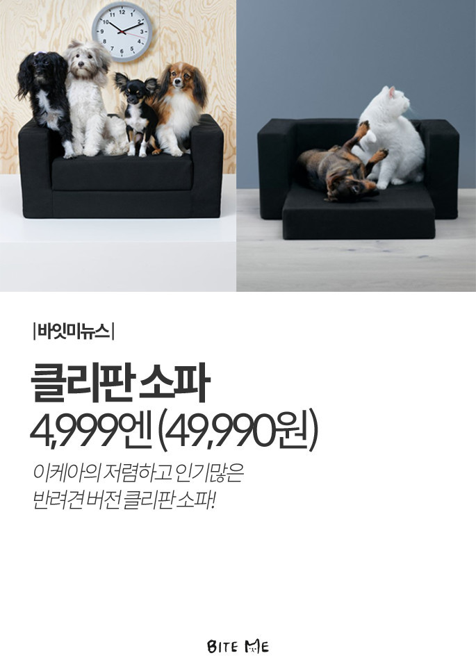 Artboard 1 copy 8.jpg