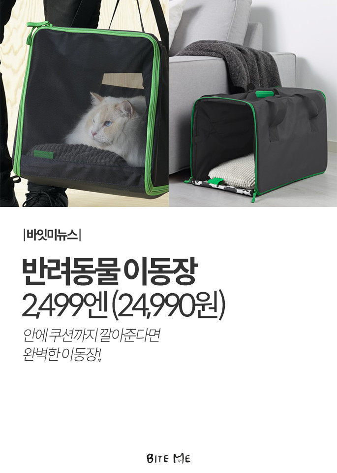 Artboard 1 copy 7.jpg