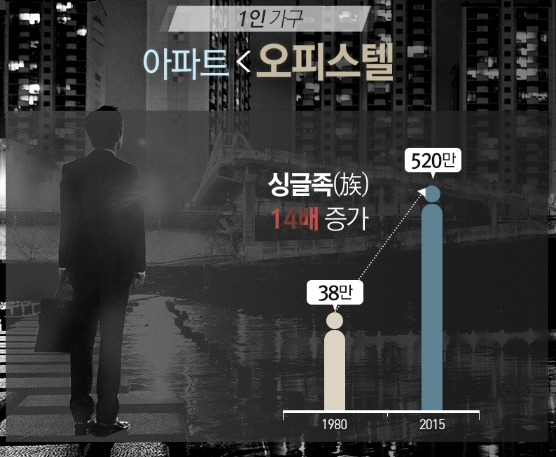 싱글족 증가 추이 .jpg