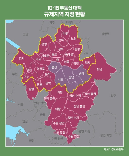 10월 15일 부동산 대책 자료6.jpg