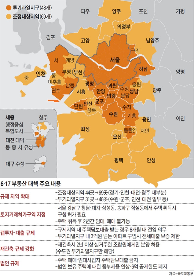 6월 17일 부동산 대책 주요 내용.jpg