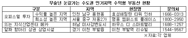 무술년 눈길가는 수도권 인기지역 수익형 부동산 현황.jpg
