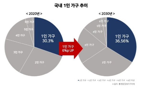 국내 1인가구 증가 추이.jpg