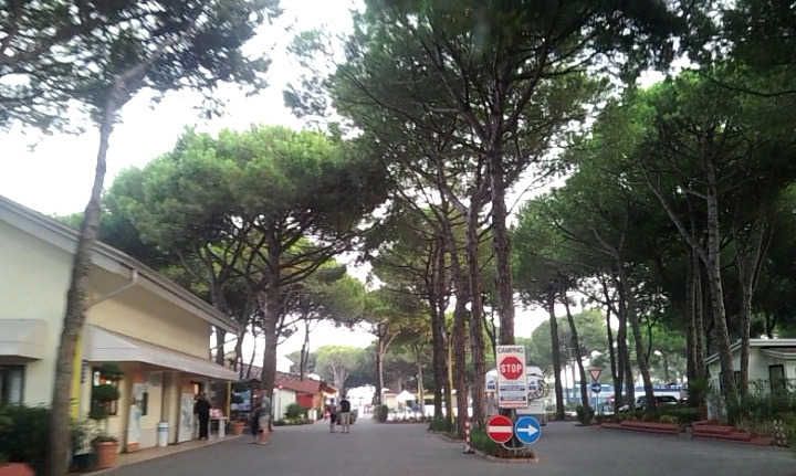 2-75 캠핑장리셉션.jpg