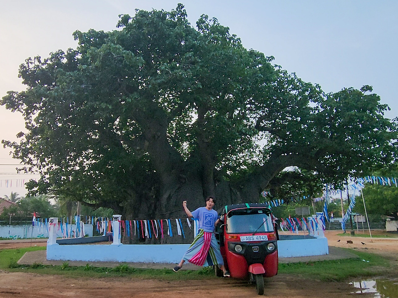17만나르 바오밥나무.jpg