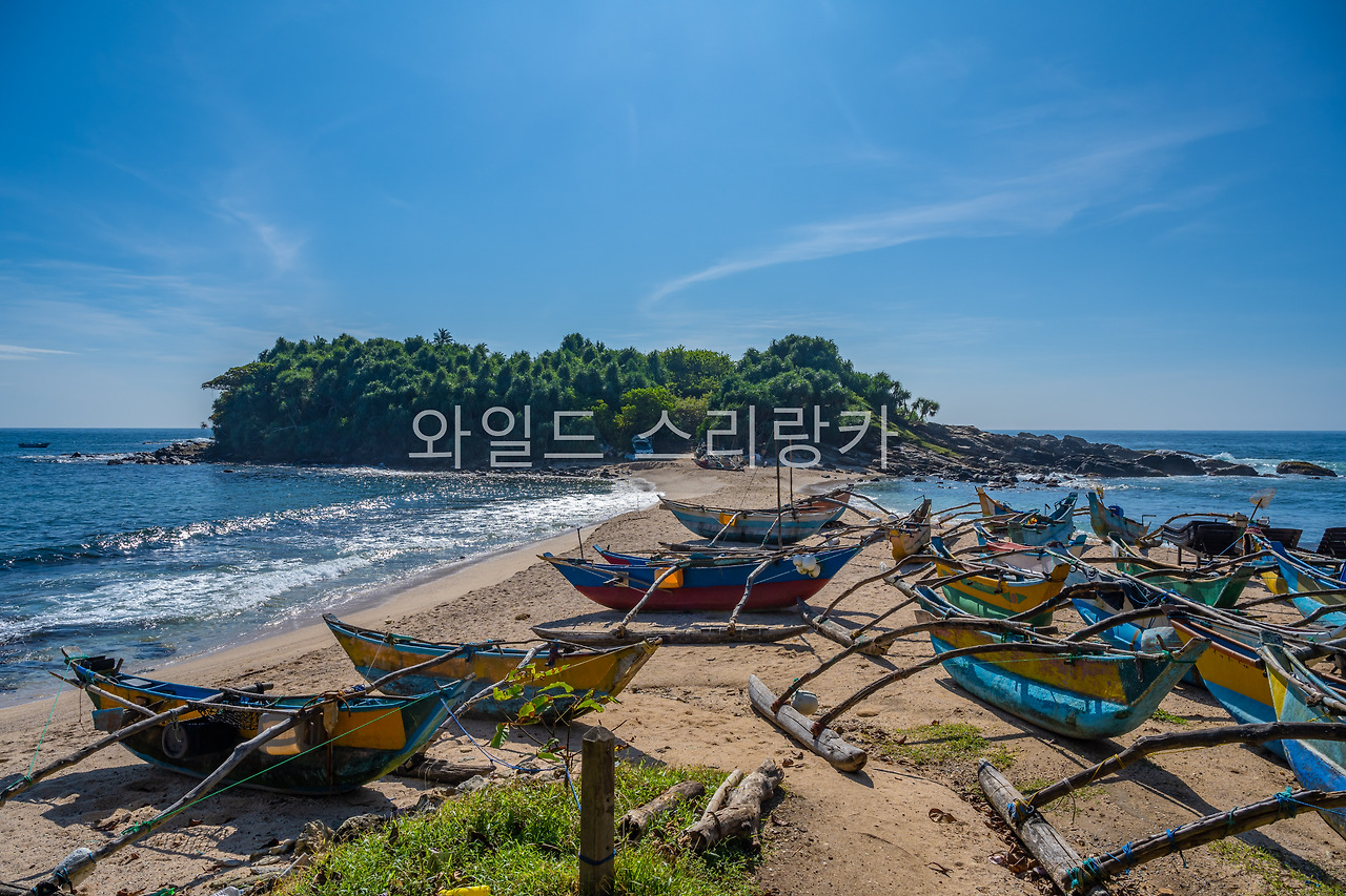 블루비치 아일랜드 (1).jpg