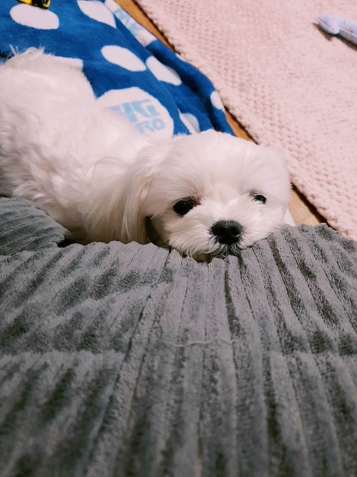 KakaoTalk_20190116_205146766.jpg