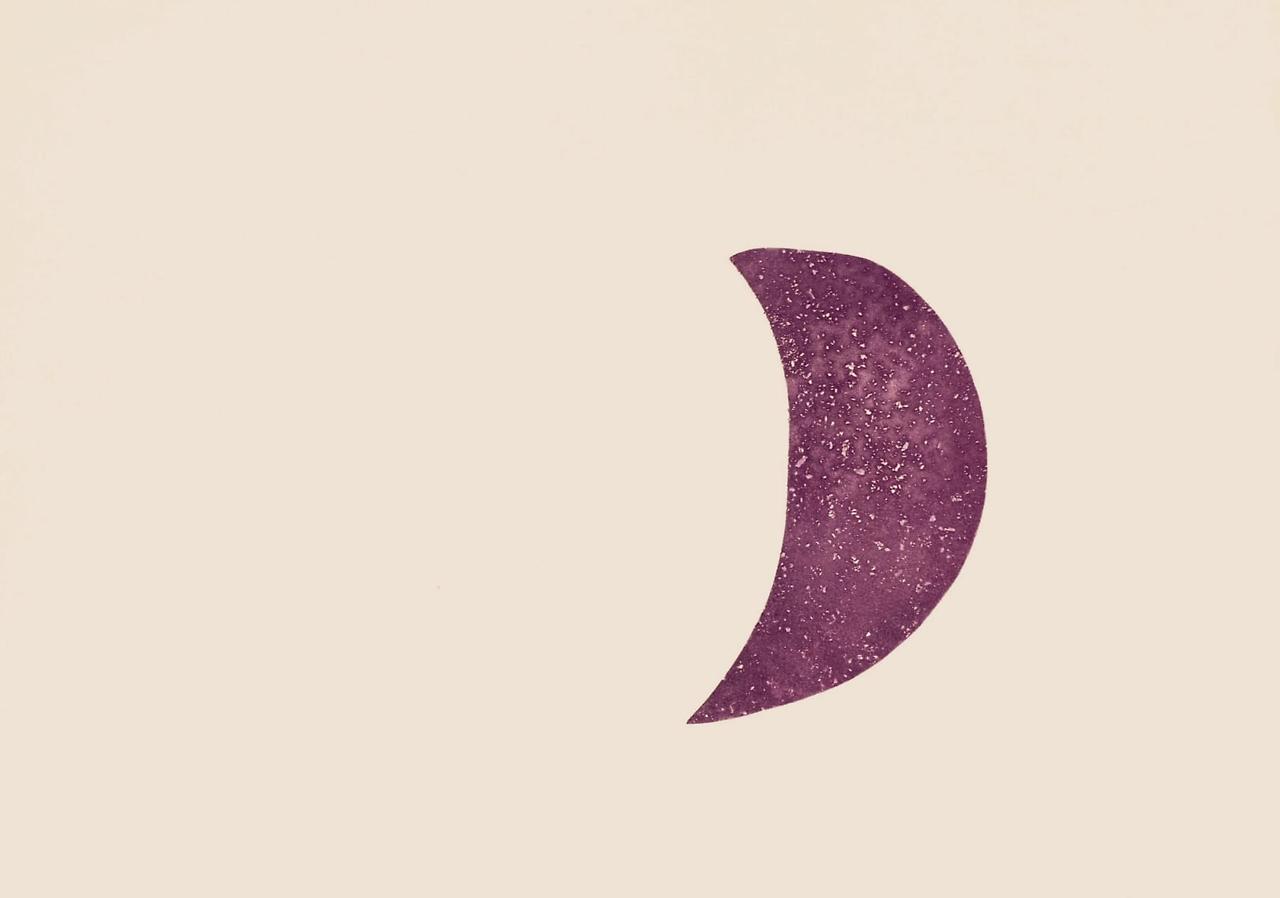 plate-11-cantic-del-sol 1975.jpg