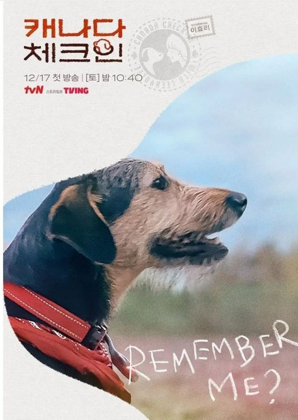 다운로드 (2).jpg