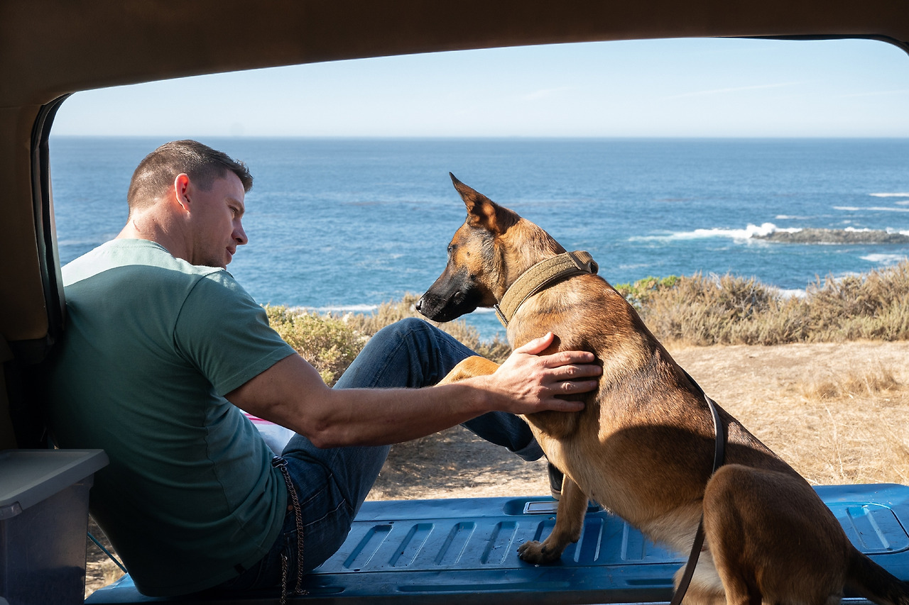 movie_image (12).jpg