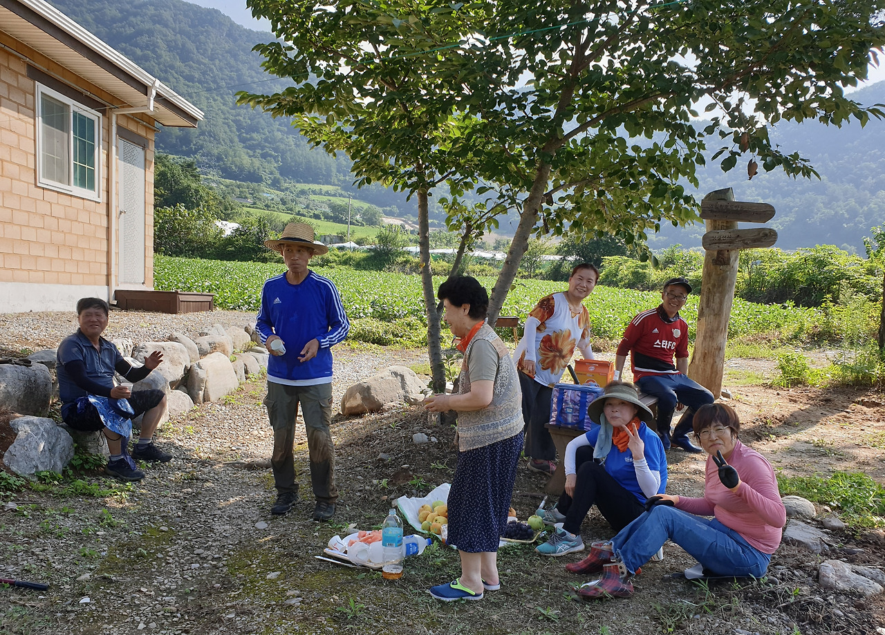 3.콩밭제초 새참.jpg