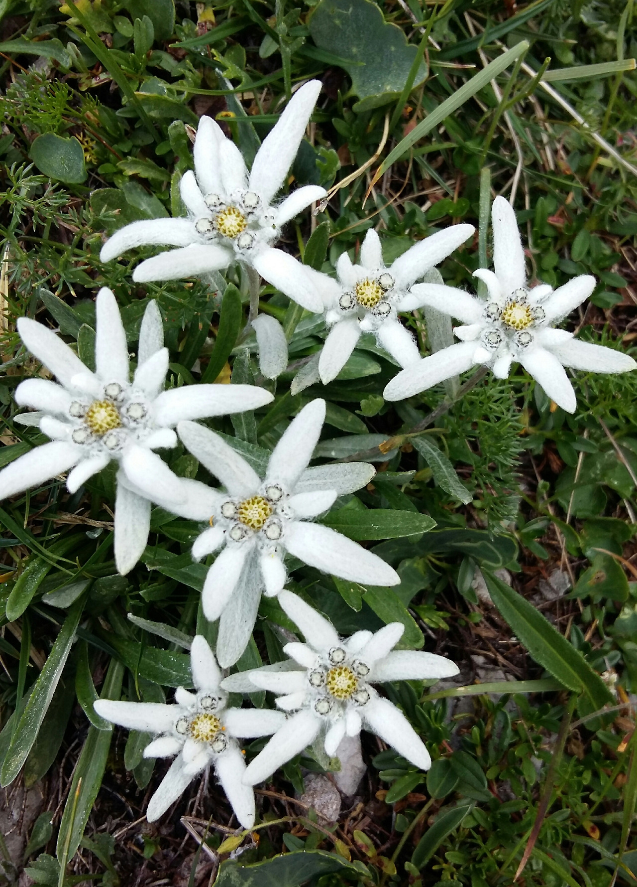 2017-07-19 21.34.48.jpg