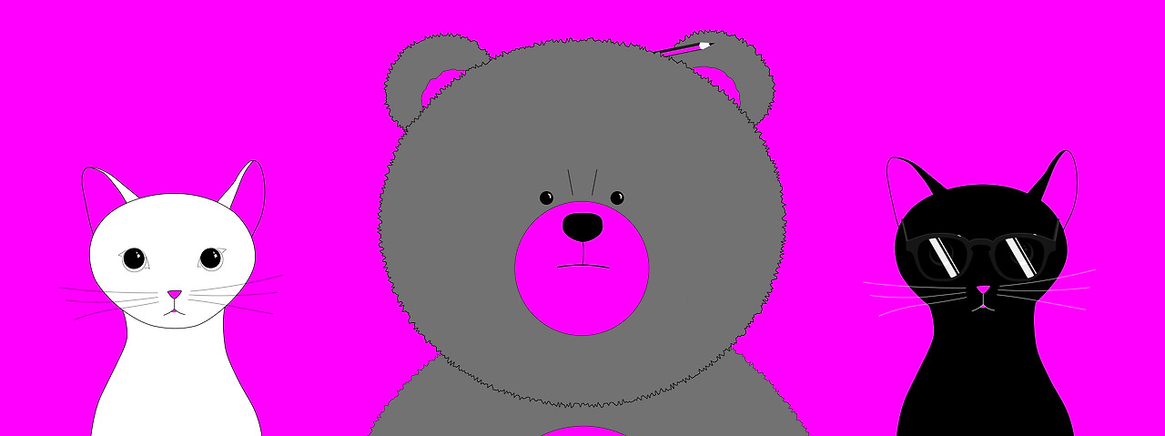 MAIN_Cat magenta_1029-27.jpg