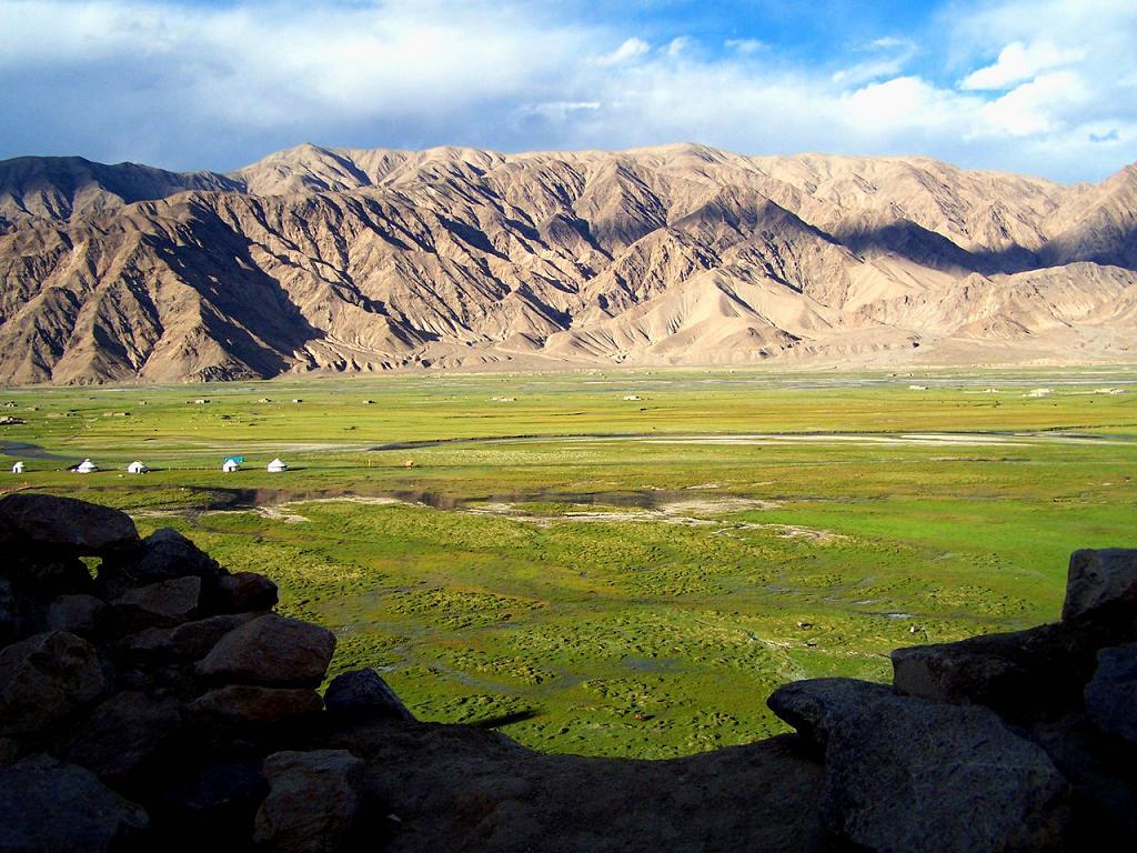 493d17627fa28-1 (1).jpg