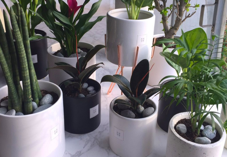 제목 없음_edited.jpg