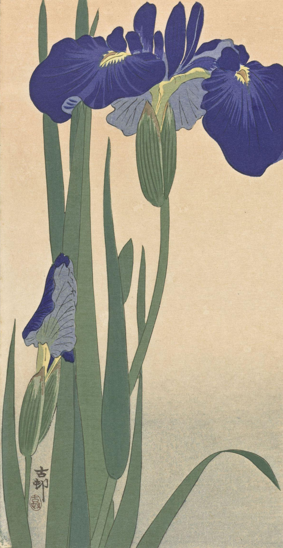 Blue Irises, Ohara Koson, 1900 - 1930.jpg