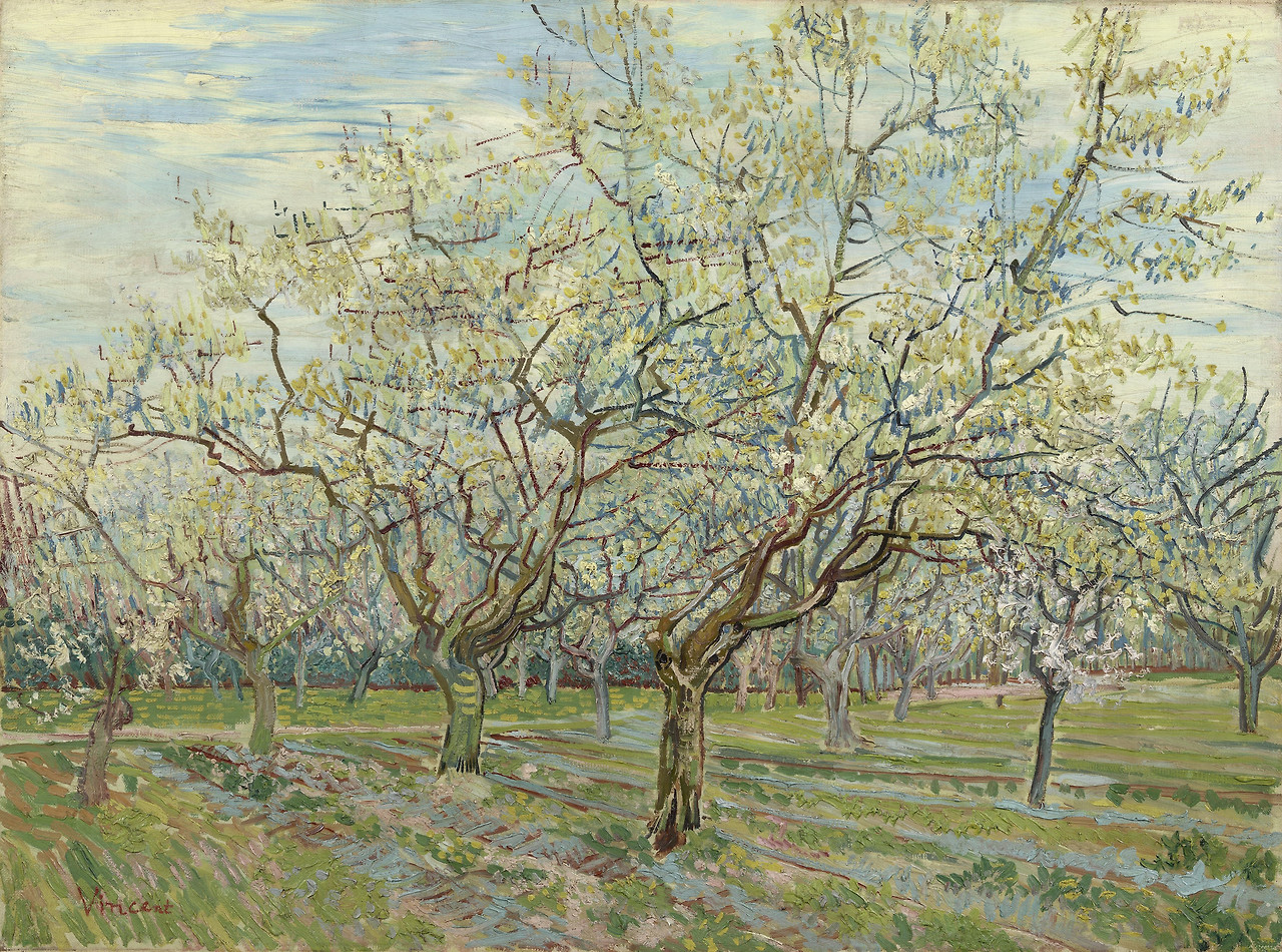 The White Orchard,Arles, April 1888.jpg