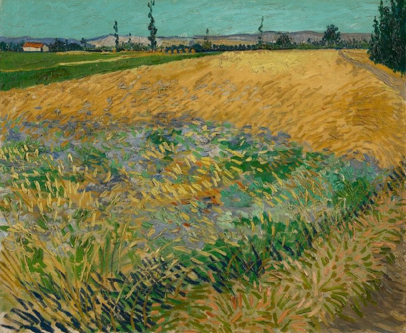 vangoghmuseum-s0146V1962-800.jpg