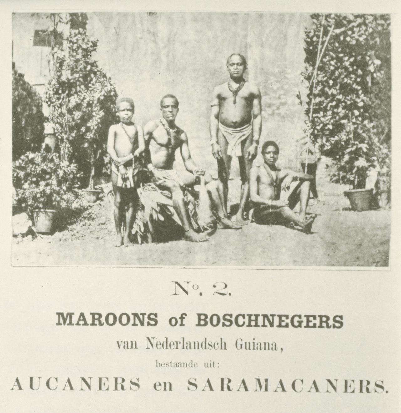 Marrons, Roland Napoleon Bonaparte, 1883 - 1884.jpg