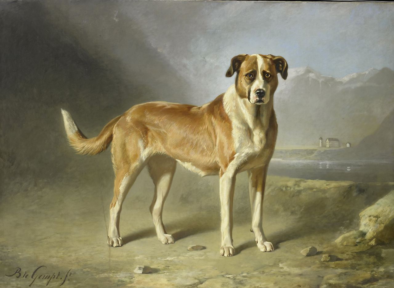 A St Bernard Dog, Bernard te Gempt, c. 1850 - c. 1879.jpg