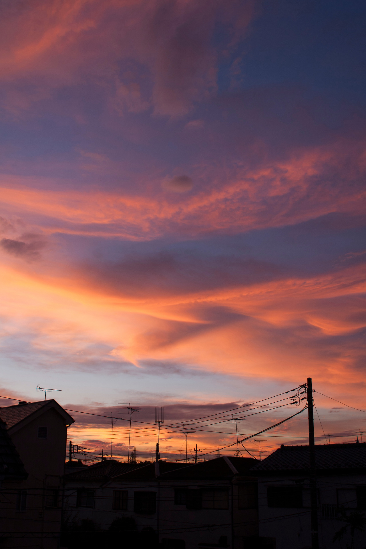 새벽 테라스.jpg