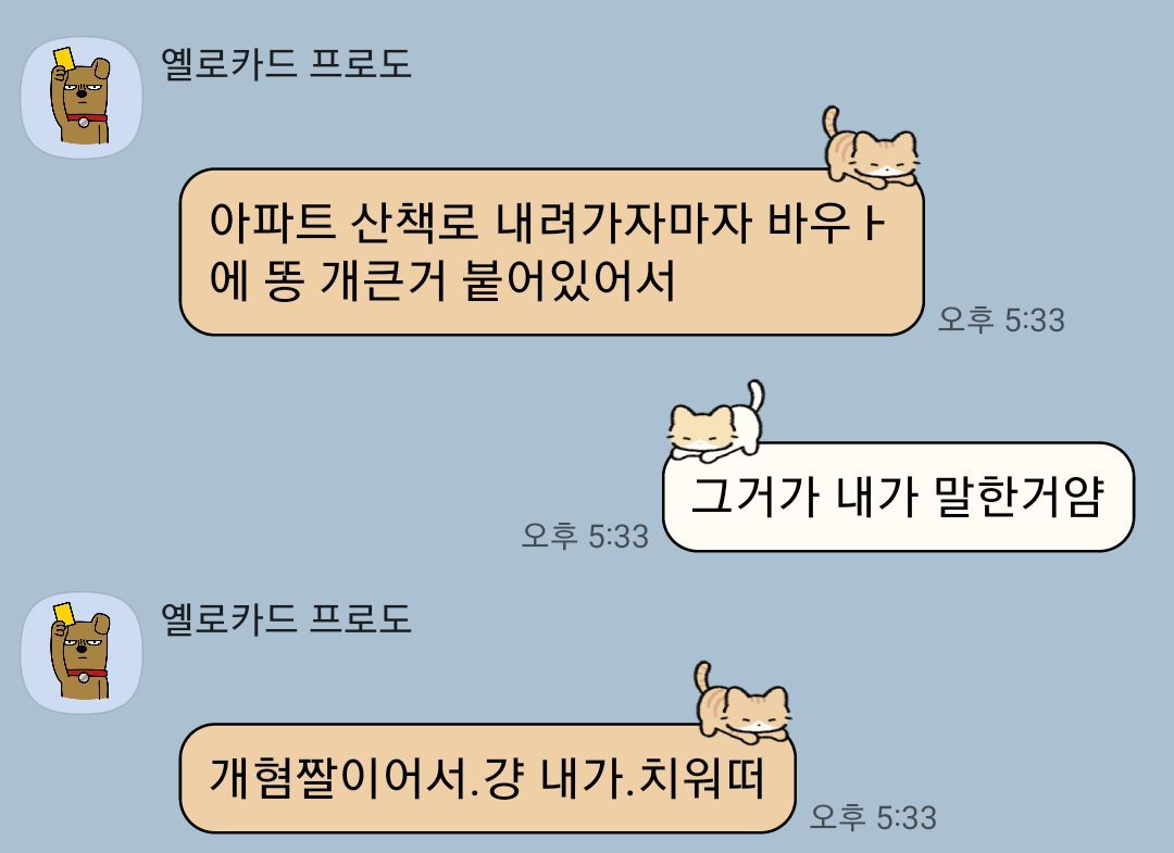 카지노 게임