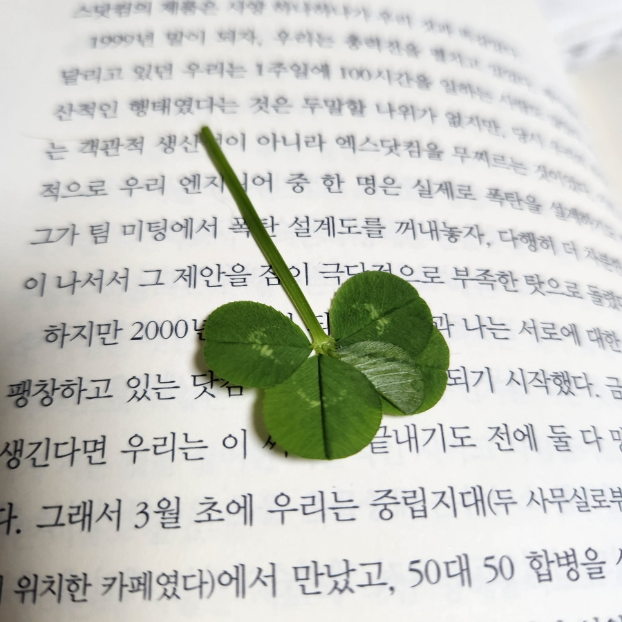 무료 카지노 게임