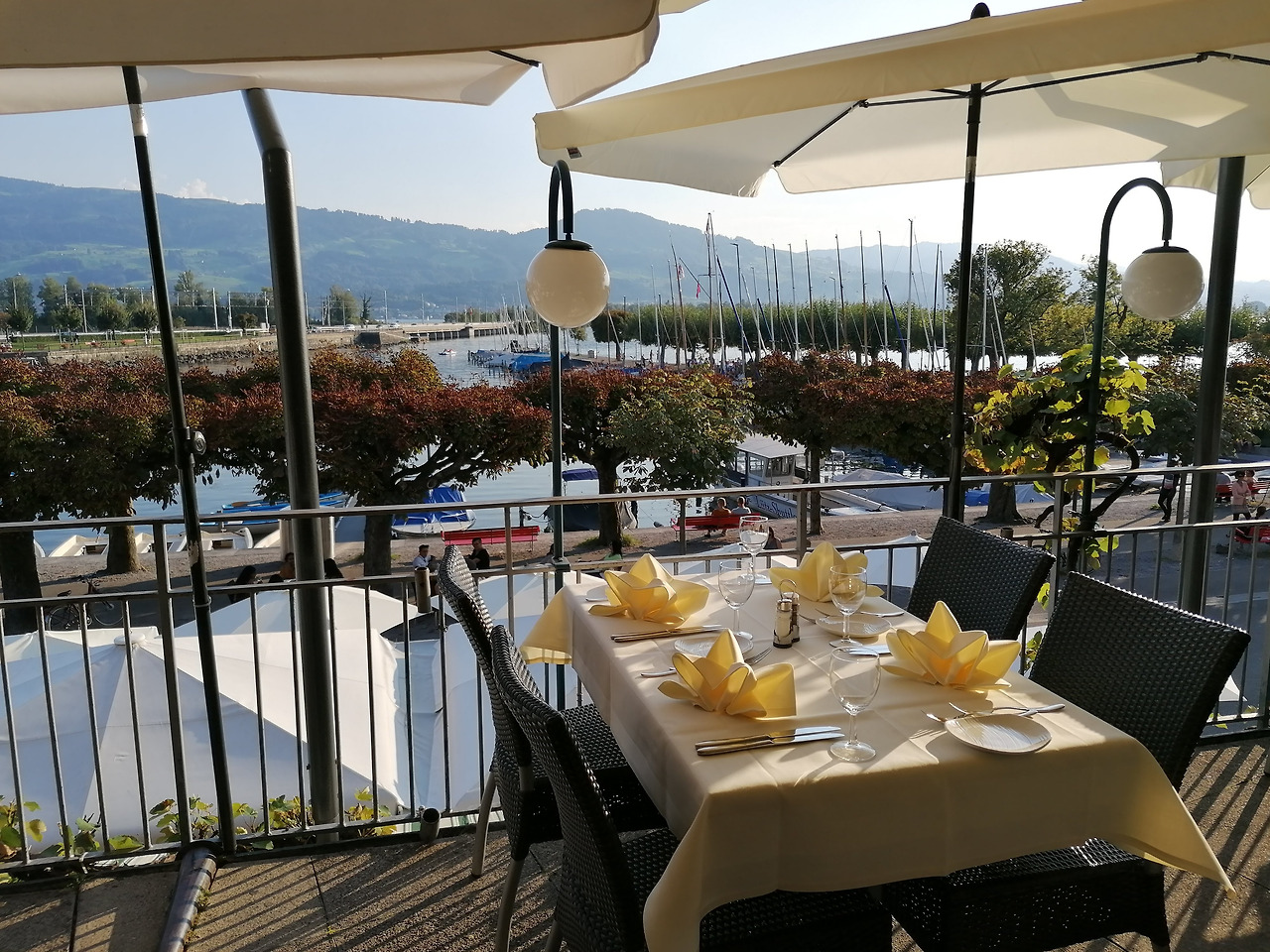 스위스브로콜리 스위스생활.jpg