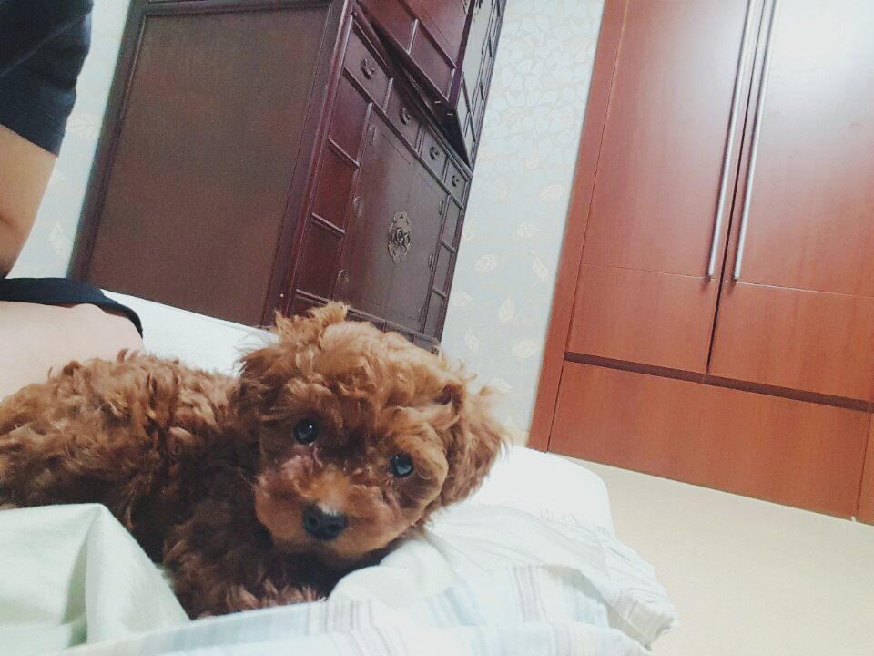 2016-06-27 11.09.50 1.jpg