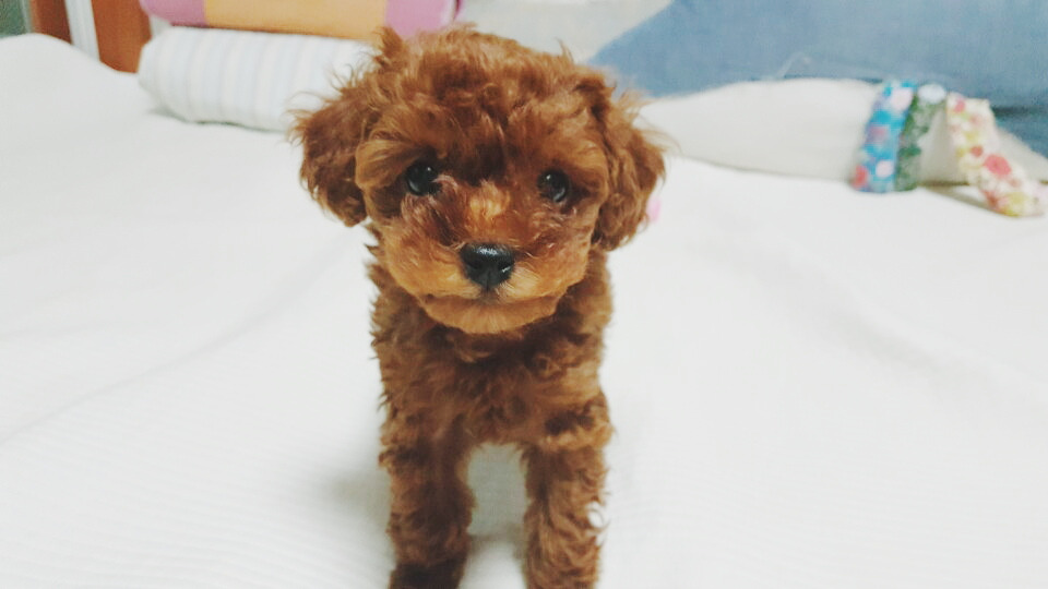 2016-06-27 11.09.56 1.jpg