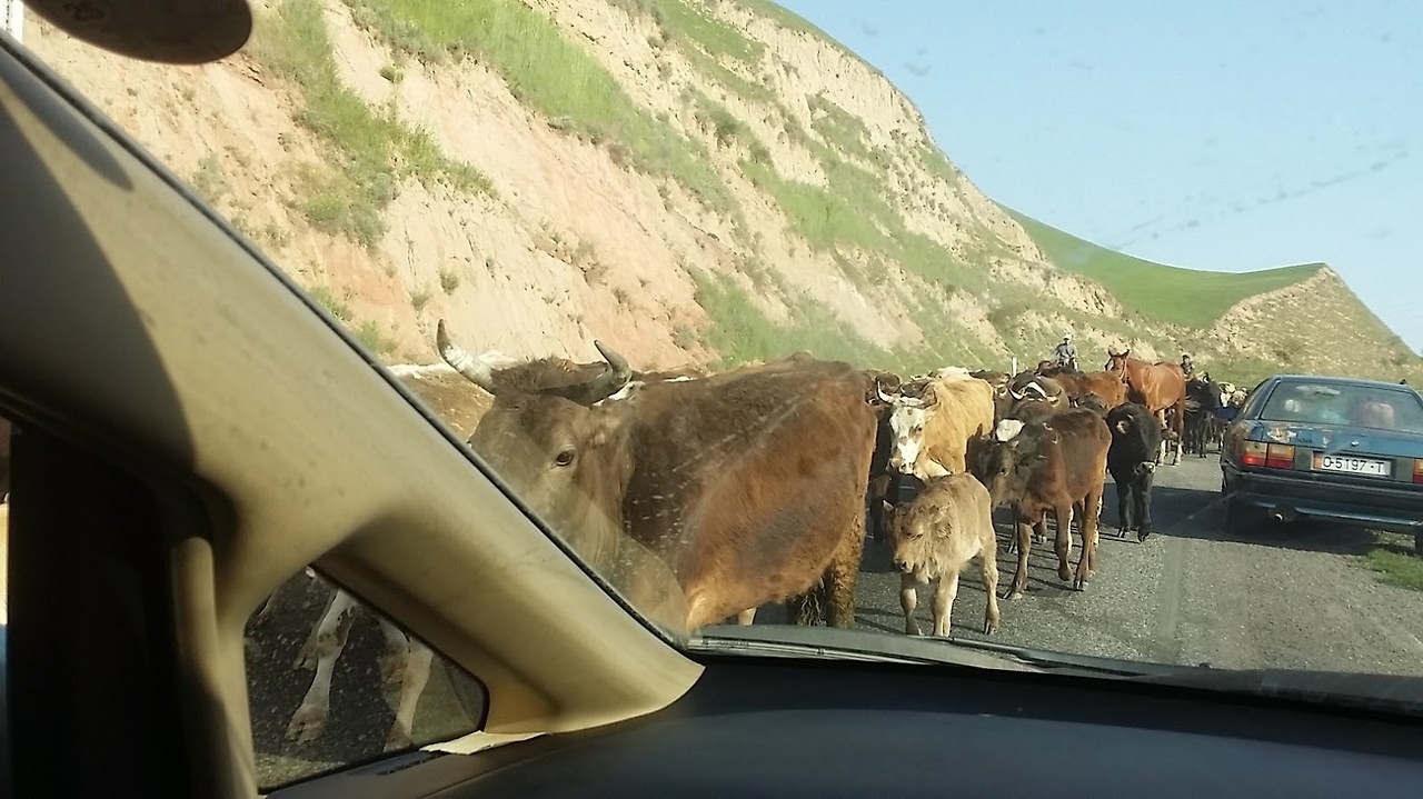 도로의 무법자.jpg