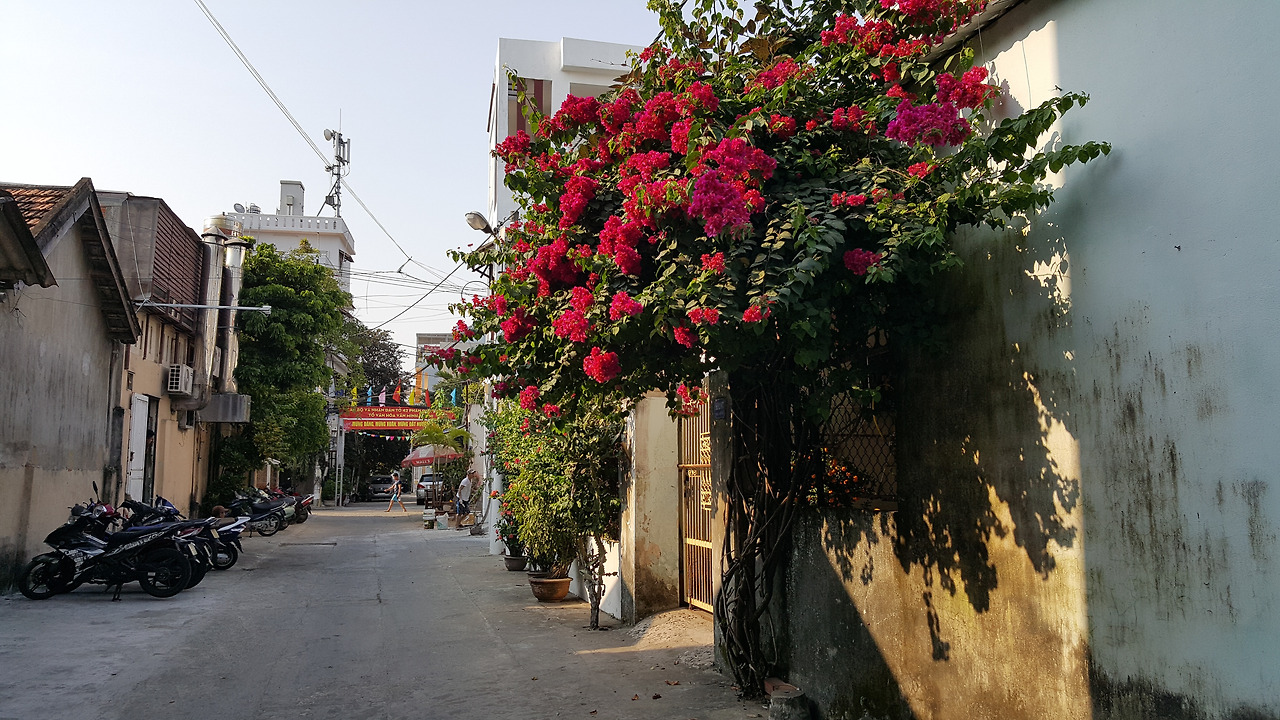 (사진87) 골목길.jpg