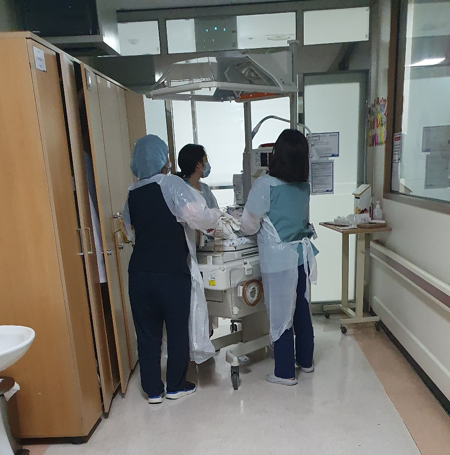 nicu 사진.jpg