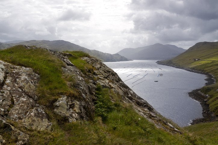 The Famine Walk, Co Galway.jpg