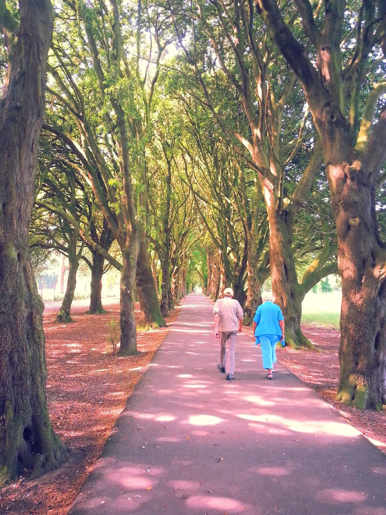 013_7월엔 빠알간 장미를.jpg