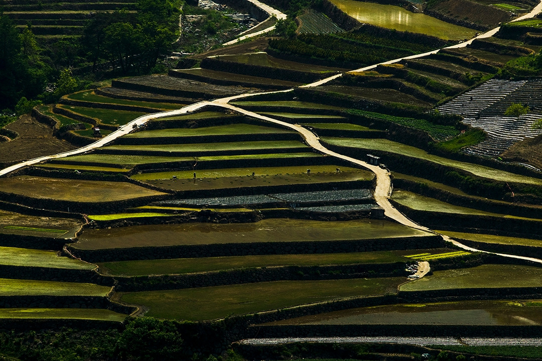 도마마을 (1).jpg